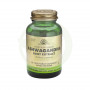 ASHWAGANDHA 60 CAPSULAS VEGETALES SOLGAR