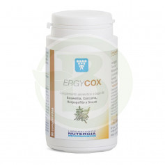 Ergycox 90 Comprimés Nutergia