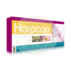 Harpago 40 Gélules Tegor