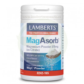 Magasorb 375Gr. Lambert