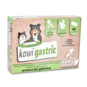 Kowi Gastrique, 60 Comprimés Kowi Nature