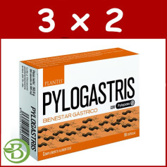 Pack 3x2 Pylogastris 90 Gélules Plantis