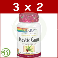 Pack 3x2 Gomme Mastic 500Mg. 45 Gélules Végétales Solaray