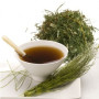 Prêle 100 Gr. Rosana (Diplan)