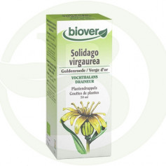 Extracto de Solidago Virgaurea (Vara de Oro) Biover