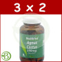 Pack 3x2 SAUZGATILLO (AGNUS CASTUS) 550MG HEALTH