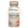Cordyceps Fermented 500 mg 60 Gélules Solaray