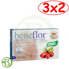 Pack 3x2 Beneflor 40 Gélules (Bacil) Santiveri
