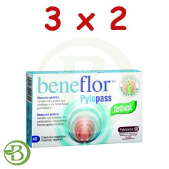Pack 3x2 Gélules Beneflor Pylopass 15Gr. Santiveri