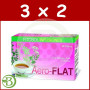 Pack 3x2 Aero-Flat 20 Filtros Ynsadiet