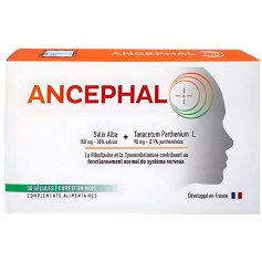 Ancephal 30 Gélules Evidency Lab