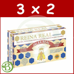 Pack 3x2 Robis de défense de la reine royale