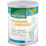 Artrosin Collagène avec Magnésium Gelartrin 275Gr. Santiveri