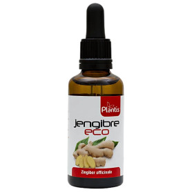 Extrait de Gingembre Bio 50Ml Plantis