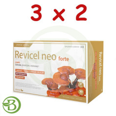 Pack 3x2 Recivel NEO 30 Ampoules Dietmed