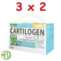 Pack 3x2 Cartilogen Elastic 20 Ampollas Dietmed