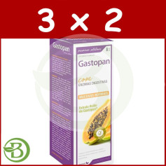 Pack 3x2 Gastopan 50Ml. Dietmed