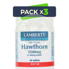 Pack 3x Lamberts d'aubépine blanche