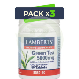 Pack 3x Té Verde Lamberts