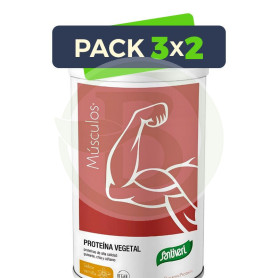 Pack 3x2 Dynamic Proteína Vegetal Vainilla 455G Santiveri