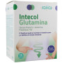 Intecol Glutamine 15 sachets Sakai