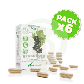 Pack 6x Grosellero Negro 23-S Fórmula XXI Soria Natural