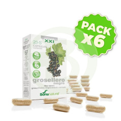 Pack 6x Grosellero Negro 23-S Fórmula XXI Soria Natural