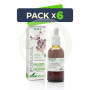 Pack 6x Extracto de Fumaria Fórmula XXI 50Ml. Soria Natural
