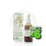 Pack 6x Extracto de Vara de Oro Fórmula XXI 50Ml. Soria Natural