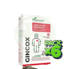 Pack de 6 gélules de Gincox 30 gélules Soria Natural