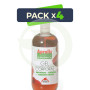 Pack 4x Gel de Propóleo 500Ml. Intersa