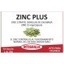 Zinc Plus 60 gélules Integralia
