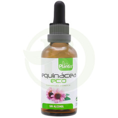 Extrait d'échinacée ECO S / A 50Ml. Plantis