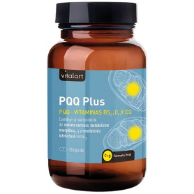 Pqq Plus 30 capsules Vitalart