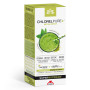 Chlorelpure Metal Detox 500Ml. L'intérêt
