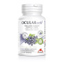 Ocularactif 45 Gélules Intersa