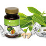 Garcivit 70 Gélules Vital 2000