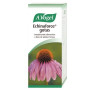 Echinaforce Gouttes Vogel 50Ml.
