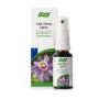 Spray anti-stress 10 ml.