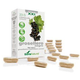 Cassis 23-S Formula XXI Soria Naturel