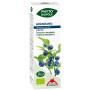 Phyto-Biopole Bio Myrtille 50Ml. Intérêt