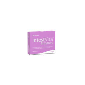 Intestvita Enzymes 30 Gélules Vitae