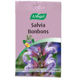 Salvia Bonbons Vogel 75Gr.