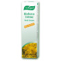 Crème 7 Herbes Vogel 35Gr.