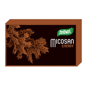 Micosan Energy 40 Gélules Santiveri