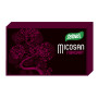 Micosan Fibroart 40 Gélules Santiveri