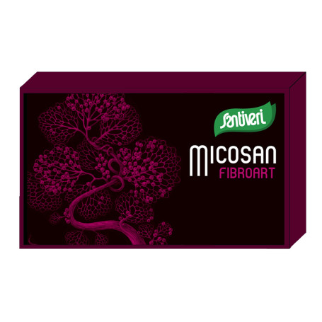 Micosan Fibroart 40 Gélules Santiveri