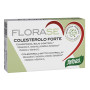 Florase Cholestérol Forte 40 Gélules Santiveri