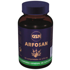 Arfosan 90 comprimés GSN