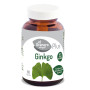 Ginkgo Biloba El Granero
